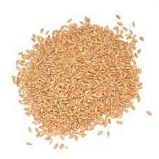 Wheat 20kg